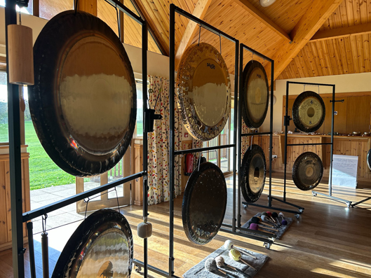 Gong Training
